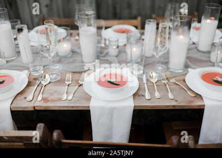 Backyard Dinner Party Foto Stock