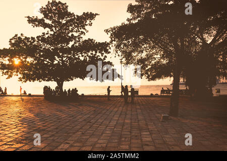 Kochi, India - 9 Novembre 2017: Boulevard con enormi alberi e persone seduti sui banchi durante il colore arancio tramonto con raggi provenienti attraverso Foto Stock