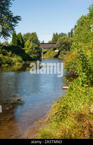 Vista del ponte ferroviario su Sammamish fiume vicino a Gateway Wilmot Park a Woodinville, Washington. Foto Stock