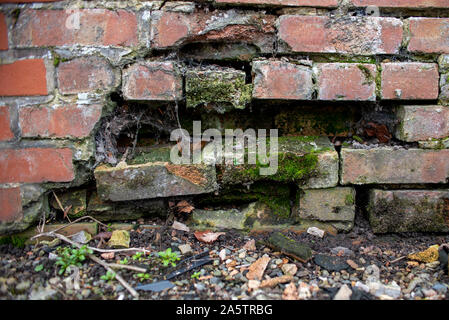 Decrepito spider web coperto un muro di mattoni falling apart Foto Stock