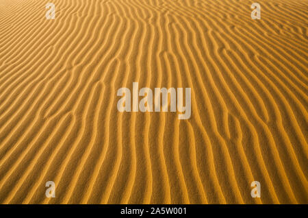 Soffiata dal vento modelli di sabbia sulle dune di sabbia del deserto del Thar, Rajasthan, India. Foto Stock