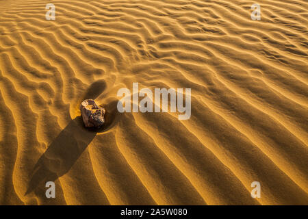 Una roccia su una duna di sabbia distrugge la sabbia ondulata patterns causata dal vento bruciato sabbia. Deserto di Thar, Rajashan, India. Foto Stock