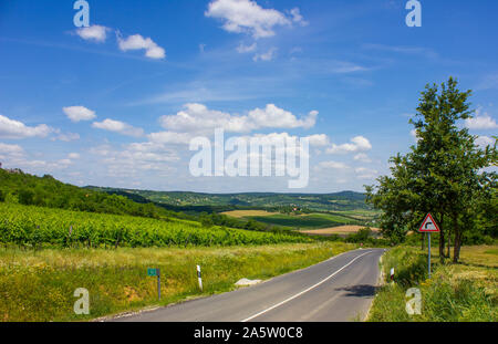 Strada asfaltata sulla sommità di una collina. Vigneto e colline in background. Soleggiata tranquilla estate foto. Nizza le nuvole del cielo. Foto Stock