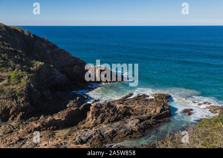 Nobbys Beach, Port Macquarie, un cane locale friendly spiaggia. Foto Stock