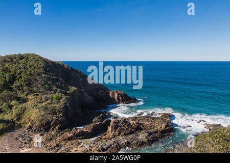 Nobbys Beach, Port Macquarie, un cane locale friendly spiaggia. Foto Stock