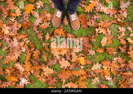 Gambe di adolescenti in sneakers e jeans in piedi sul suolo con foglie di autunno, vista dall'alto, prospettiva inusuale Foto Stock