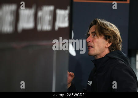 Swansea, Regno Unito. 23 Ott, 2019. Brentford manager Thomas Frank guarda dalla panchina.EFL Skybet partita in campionato, Swansea City v Brentford al Liberty Stadium di Swansea, Galles del Sud martedì 22 ottobre 2019. Questa immagine può essere utilizzata solo per scopi editoriali. Solo uso editoriale, è richiesta una licenza per uso commerciale. Nessun uso in scommesse, giochi o un singolo giocatore/club/league pubblicazioni. pic da Andrew Orchard/Andrew Orchard fotografia sportiva/Alamy Live news Credito: Andrew Orchard fotografia sportiva/Alamy Live News Foto Stock