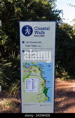 Nobbys Beach, Port Macquarie, un cane locale friendly spiaggia. Foto Stock