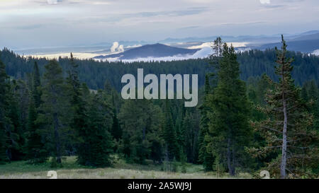 La mattina presto vista guardando ad est dal monte washburn a Yellowstone Foto Stock