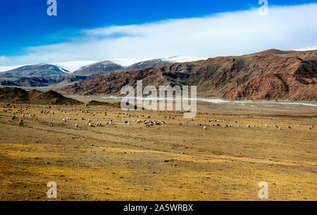 Imbrancandosi nella vasta terra, vista dal treno tra Turpan-Kashkar, Xinjiang, Cina. Foto Stock