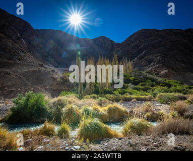 Pisco Elqui Valley , Cile Foto Stock