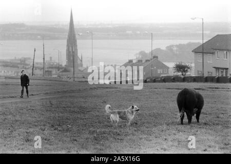 Derry, Irlanda del Nord, Londonderry. 1983. Vista su St Eugenes Cathederal dal campo Vescovi, tenuta cattolica di Creggan. Inniscairn Road si trova sulla destra, River Foyle in distanza. 1980S UK HOMER SYKES Foto Stock