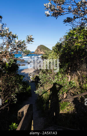 Nobbys Beach, Port Macquarie, un cane locale friendly spiaggia.Le fasi che conducono alla spiaggia Nobbys. Foto Stock