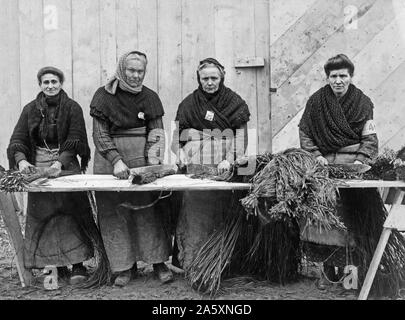 Contadini francesi di taglio erba raffa di legare il camuffamento tappetini al filo netting, Dijon, Francia, camuffamento di impianto. Duecento le donne vengono impiegate a 4 franchi al giorno. Aprile 1918. Foto Stock