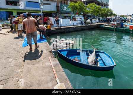 Maschio, Maldive - Novembre 17, 2017: Area del mercato del pesce fresco nel maschio, Maldive. Un pescatori su imbarcazioni a remi piena di enorme appena catturati di tonno di erogazione Foto Stock