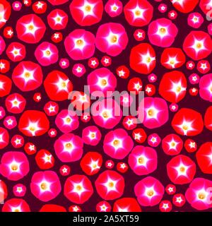 Modello con ipomoea fiori Illustrazione Vettoriale