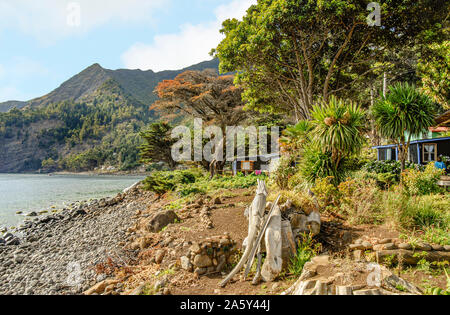 Paesaggio costiero a Cumberland Bay, Juan Fernandez, Cile, Sud America Foto Stock