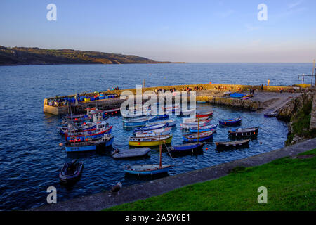 Porto Coverack St Keverne Helston Cornwall Inghilterra Foto Stock