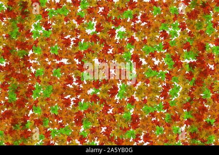 Vista dall'alto su acero colorato smallleaves. Foglie di colore rosso, giallo arancio e altri colori giacente sul tavolo. Autunno sfondo e concetto. Lay piatto Foto Stock