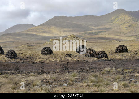 L'Irlanda Galway, 2018 - Bogland in Irlanda, con pile di turf essiccamento sotto il sole e utilizzati come fule in inverno. Foto Stock