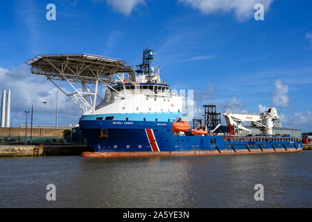 Ievoli avorio porto di Great Yarmouth NORFOLK REGNO UNITO Foto Stock