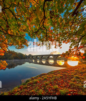 Colori autunnali all'alba a Tyne verde sul fiume Tyne, Hexham, Northumberland Foto Stock