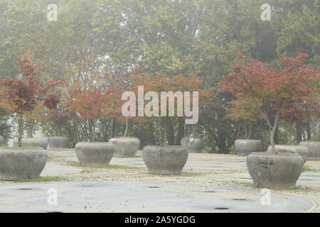 Nel tardo autunno a uno straordinario e bellissimo lago Foto Stock