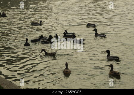 Nel tardo autunno a uno straordinario e bellissimo lago Foto Stock