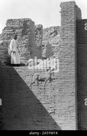 L'Iraq. Babilonia "grandi". varie viste del fatiscenti rovine. Ishtar gate. Chiudere la vista di una delle pareti con un bassorilievo Foto Stock