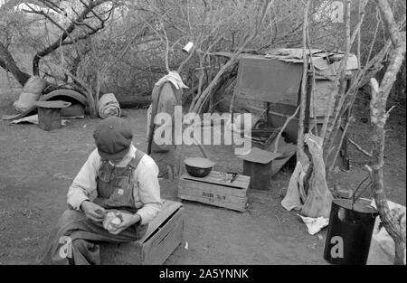 Bianco lavoratore migrante che vivono in camp con altri due uomini migranti. Il suo letto e tutte le mondane sono il possesso di essere visto in background. Harlingen, Texas da Russell Lee, 1903-1986, fotografo 19390101. Foto Stock