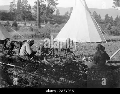 Stampa fotografica di Salish donna seduta sul terreno la preparazione di carne. Fotografata da Edward S. Curtis (1868-1952) American etnologo e fotografo del West americano e dei Nativi Americani i popoli. Datata 1910 Foto Stock