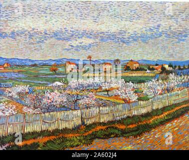 Gli alberi di pesco in fiore vicino a Arles 1889 da Vincent Van Gogh (1853 - 29 luglio 1890); Olandese e post-pittore impressionista. Foto Stock