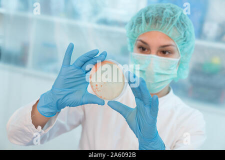 Donna scienziato analizzando in capsule di Petri in laboratorio- Foto Stock