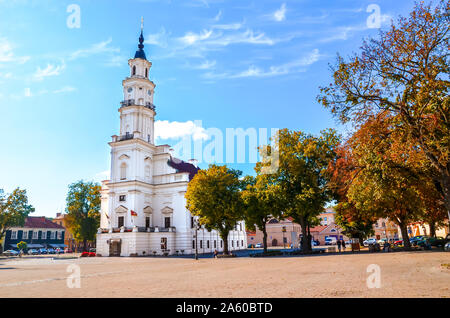 Municipio e adiacente la Piazza del Municipio e a Kaunas, Lituania fotografato nella stagione autunnale con foglie di autunno. La seconda più grande città della Lituania, Paesi Baltici, Paesi Baltici. Foto Stock