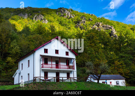 Riserva Naturale di Muniellos, Parco Naturale Fuentes del Narcea Degaña e Ibias, Asturie, Spagna, Europa Foto Stock