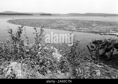 Holzsammelstelle und Bretterstapel, Bollnäs, Schweden, 1969. Legno il punto di raccolta e la scheda pila, Bollnäs, Svezia, 1969. Foto Stock