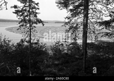 Holzsammelstelle und Bretterstapel, Bollnäs, Schweden, 1969. Legno il punto di raccolta e la scheda pila, Bollnäs, Svezia, 1969. Foto Stock