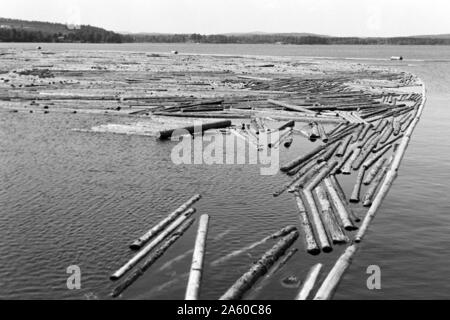 Holzsammelstelle und Bretterstapel, Bollnäs, Schweden, 1969. Legno il punto di raccolta e la scheda pila, Bollnäs, Svezia, 1969. Foto Stock