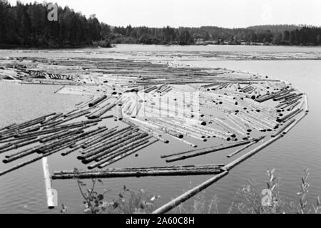 Holzsammelstelle und Bretterstapel, Bollnäs, Schweden, 1969. Legno il punto di raccolta e la scheda pila, Bollnäs, Svezia, 1969. Foto Stock