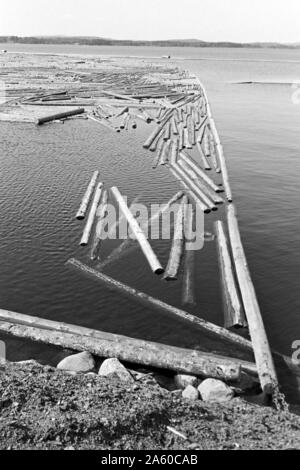 Holzsammelstelle und Bretterstapel, Bollnäs, Schweden, 1969. Legno il punto di raccolta e la scheda pila, Bollnäs, Svezia, 1969. Foto Stock