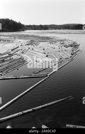 Holzsammelstelle und Bretterstapel, Bollnäs, Schweden, 1969. Legno il punto di raccolta e la scheda pila, Bollnäs, Svezia, 1969. Foto Stock