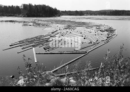 Holzsammelstelle und Bretterstapel, Bollnäs, Schweden, 1969. Legno il punto di raccolta e la scheda pila, Bollnäs, Svezia, 1969. Foto Stock