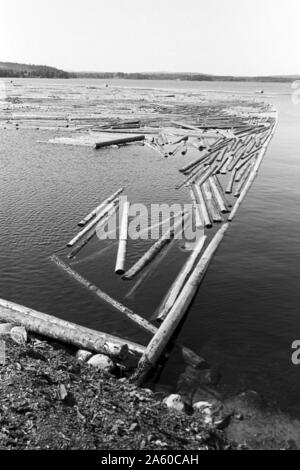 Holzsammelstelle und Bretterstapel, Bollnäs, Schweden, 1969. Legno il punto di raccolta e la scheda pila, Bollnäs, Svezia, 1969. Foto Stock