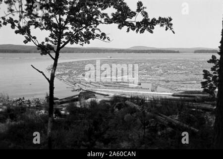 Holzsammelstelle und Bretterstapel, Bollnäs, Schweden, 1969. Legno il punto di raccolta e la scheda pila, Bollnäs, Svezia, 1969. Foto Stock