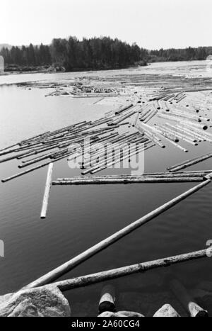 Holzsammelstelle und Bretterstapel, Bollnäs, Schweden, 1969. Legno il punto di raccolta e la scheda pila, Bollnäs, Svezia, 1969. Foto Stock