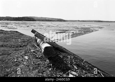 Holzsammelstelle und Bretterstapel, Bollnäs, Schweden, 1969. Legno il punto di raccolta e la scheda pila, Bollnäs, Svezia, 1969. Foto Stock