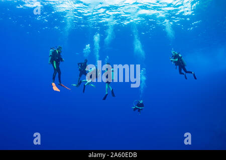 Divers (MR) nella foto appese a 15 piedi per una sosta di decompressione prima di manto di spegnere il pannello posteriore a Molokini riserva marina, off Maui, Hawaii. Foto Stock