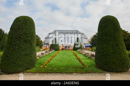 Berlino, Germania. 23 Ott, 2019. La grande casa tropicale è centralmente situato nel giardino botanico di Berlino. Le serre e molti alberi sarà illuminato per il "Giardino di Natale' dal 15.11. al 05.01.2020. Credito: Annette Riedl/dpa/Alamy Live News Foto Stock