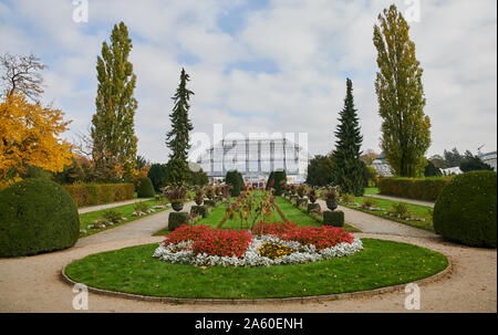 Berlino, Germania. 23 Ott, 2019. La grande casa tropicale è centralmente situato nel giardino botanico di Berlino. Le serre e molti alberi sarà illuminato per il "Giardino di Natale' dal 15.11. al 05.01.2020. Credito: Annette Riedl/dpa/Alamy Live News Foto Stock