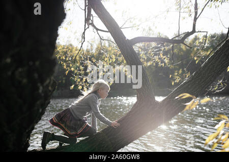 Bambina arrampicata su albero in autunno Foto Stock